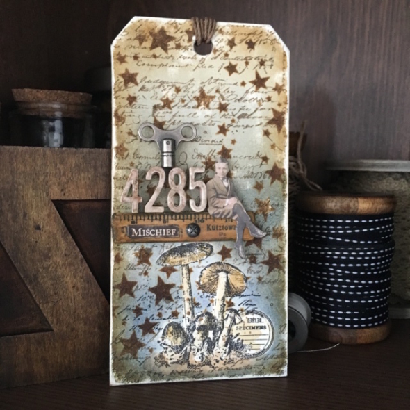 iGirlZoe: Tim Holtz stampers anonymous stamps tiny toadstools
