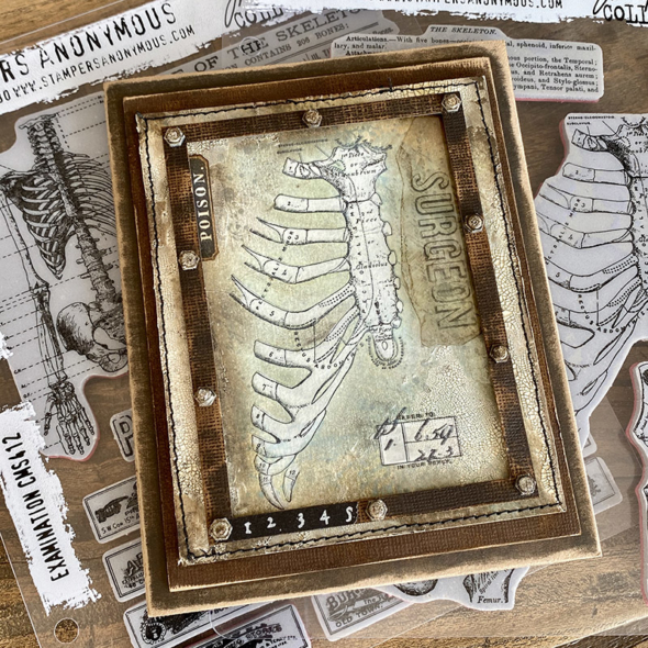 igirlzoe: tim holtz halloween stampers anonymous examination anatomy chart