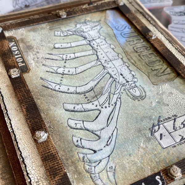 igirlzoe: tim holtz halloween stampers anonymous examination anatomy chart