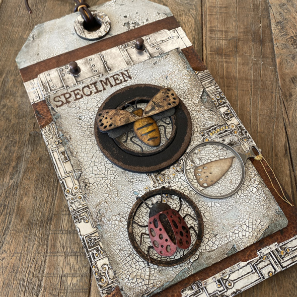 igirlzoe: tim holtz funky insects