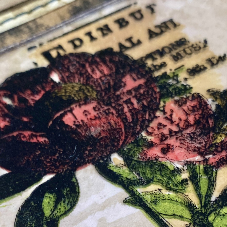 Botanic Collage Mica – iGirlZoe, Crafter & Tim Holtz Addict