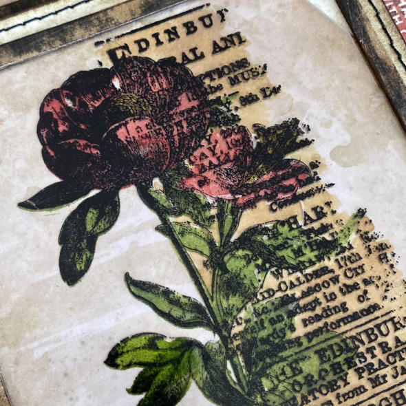 igirlzoe: tim holtz stampers anonymous 2022 botanic collage