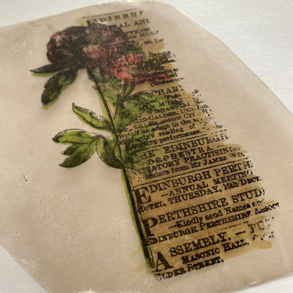 igirlzoe: tim holtz stampers anonymous 2022 botanic collage