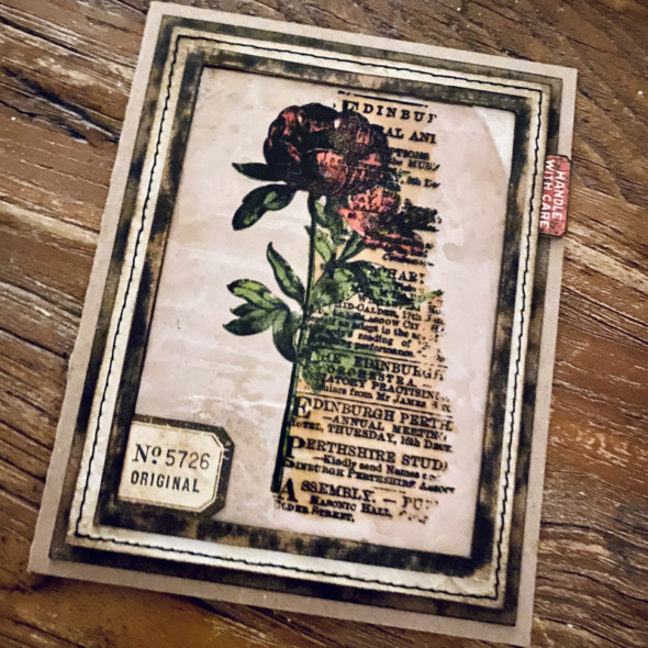 igirlzoe: tim holtz stampers anonymous 2022 botanic collage