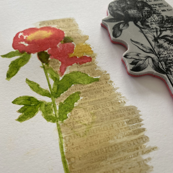 igirlzoe: tim holtz stampers anonymous 2022 botanic collage