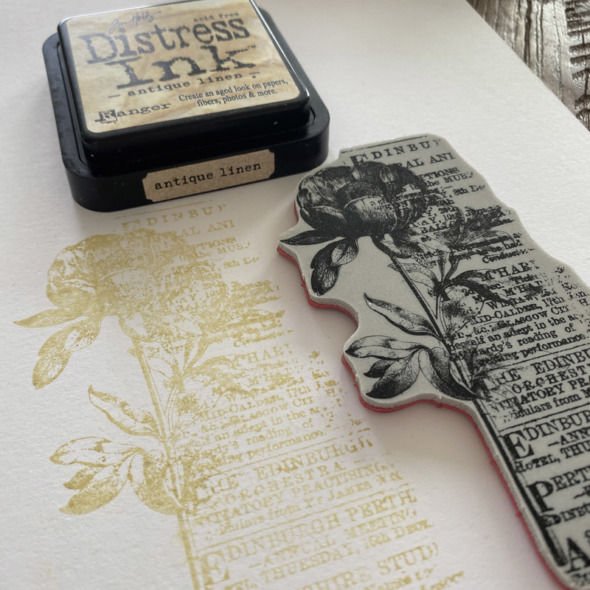 igirlzoe: tim holtz stampers anonymous 2022 botanic collage