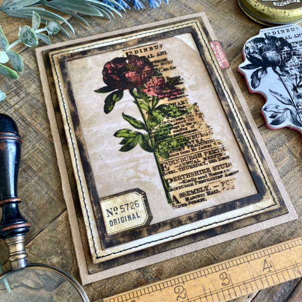 igirlzoe: tim holtz stampers anonymous 2022 botanic collage