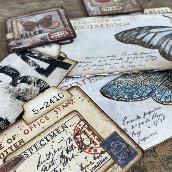 igirlzoe: tim holtz sizzix chapter 3