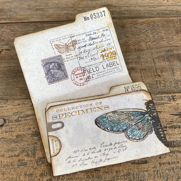 igirlzoe: tim holtz sizzix chapter 3