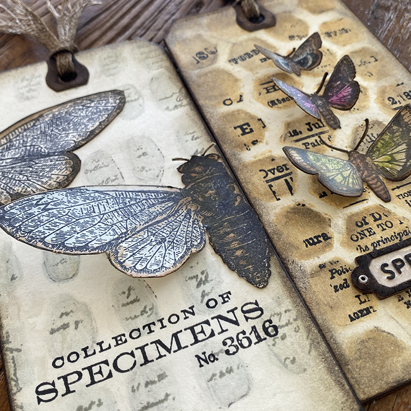 TIM HOLTZ STAMPS - STAMPERS ANONYMOUS – Page 2 – Dreamz Etc